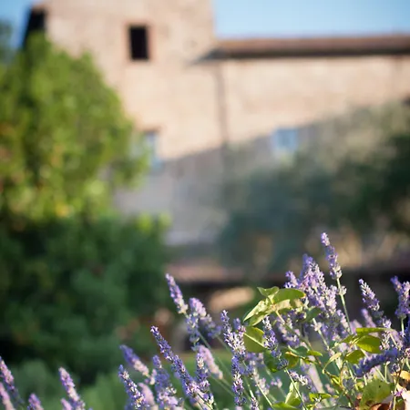 Tenuta Di Canonica Todi