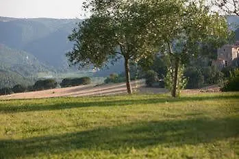 Tenuta Di Canonica Todi