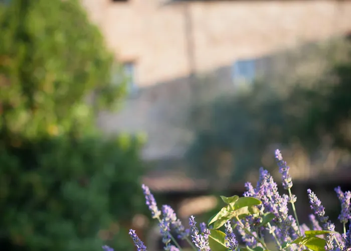 Tenuta Di Canonica טודי